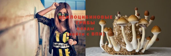 метадон Новозыбков