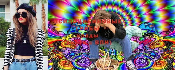 ГАЛЛЮЦИНОГЕННЫЕ ГРИБЫ Гусь-Хрустальный