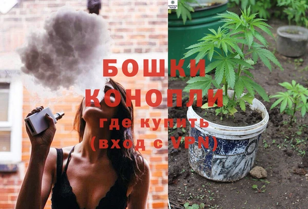метадон Новозыбков